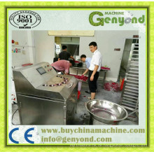 Mango-Schneidemaschine zum Verkauf in China